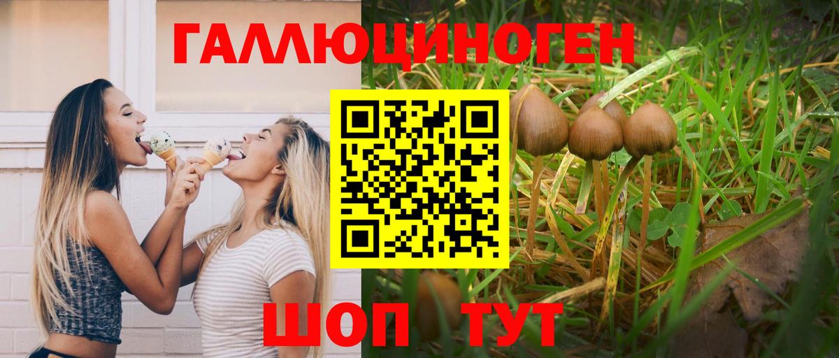 Псилоцибиновые грибы ЛСД  Вход с VPN  Гатчина 